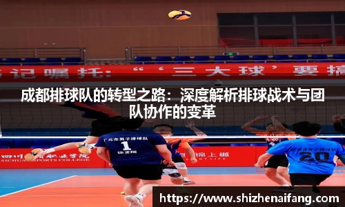 rayban雷竞技官网